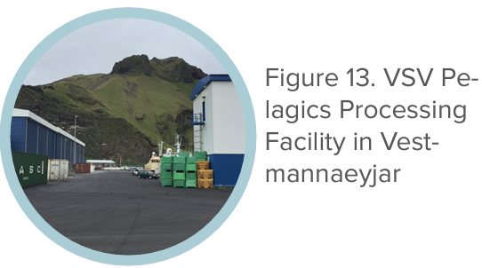 Figure 13. VSV Pelagics Processing Facility in Vestmannaeyjar